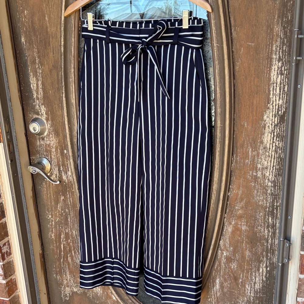 Banana Republic Wide Leg Blake Navy Pants! 0
